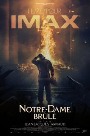 Notre-Dame on Fire (2022)