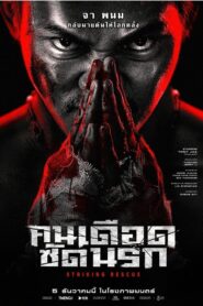 Striking Rescue (2024) คนเดือด ซัดนรก