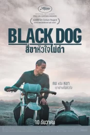 สี่ขาหัวใจไม่ดำ