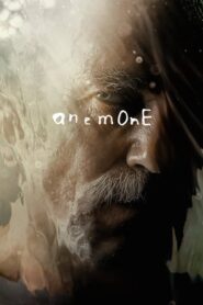 Anemone (2025)
