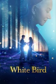 White Bird (2023) ไวต์เบิร์ด หัวใจมหัศจรรย์