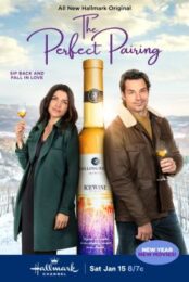 A Perfect Pairing (2022) คู่นี้…คือเพอร์เฟค