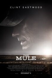 The Mule (2018) เดอะ มิวล์